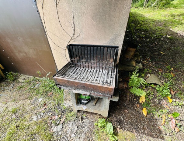 Barbecue à côté de la terrasse